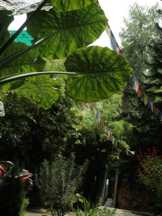 Nirvana Green Peace Home Kathmandu Exterior foto
