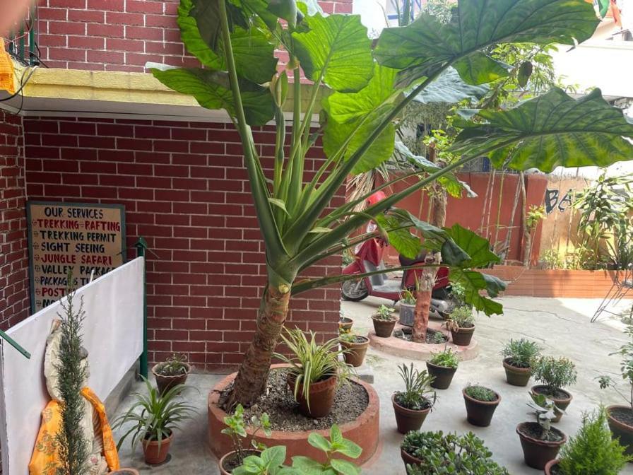 Nirvana Green Peace Home Kathmandu Exterior foto