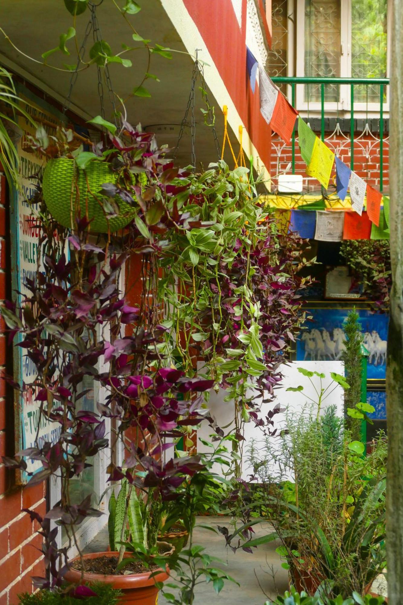 Nirvana Green Peace Home Kathmandu Exterior foto