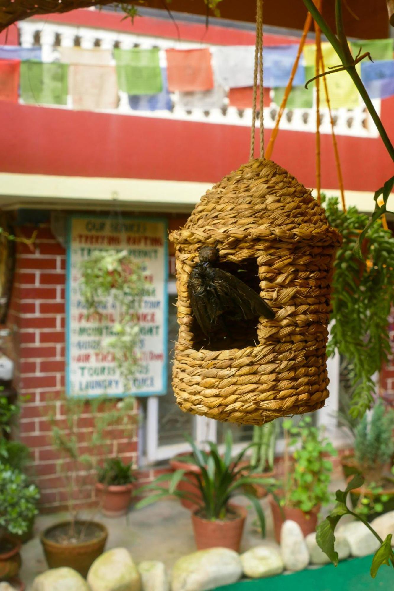 Nirvana Green Peace Home Kathmandu Exterior foto